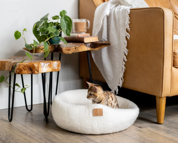 Snow White Round Cave Cat Bed