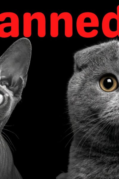 Banned Cat Breeds